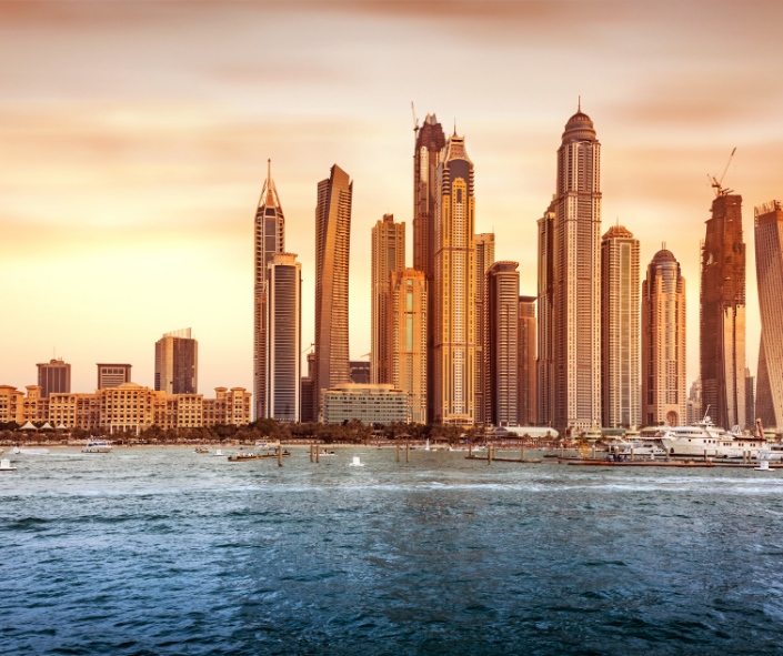 L'immobilier à Dubaï Vici Real Estate