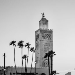 vici_real_estate_event_marrakech
