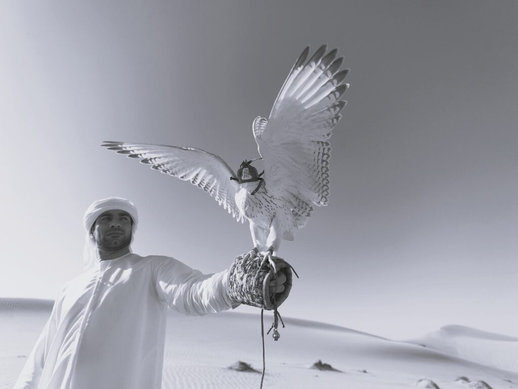 agence immobilière francophone pour comprendre les pratiques locales