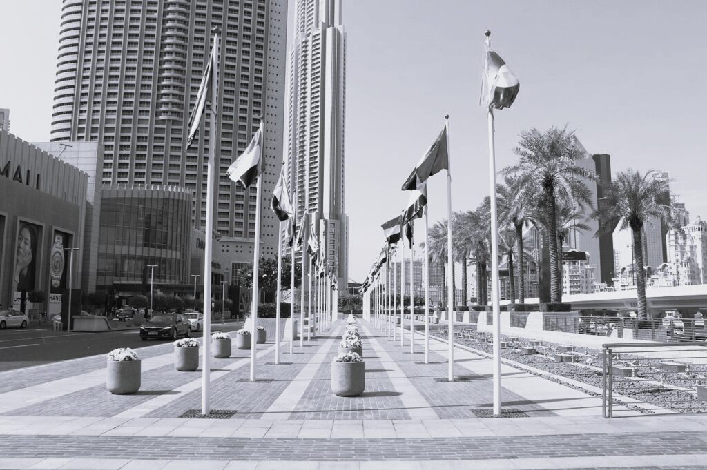 drapeau EAU et central bank